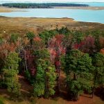 Lot 182 Colonial Way Aerial View